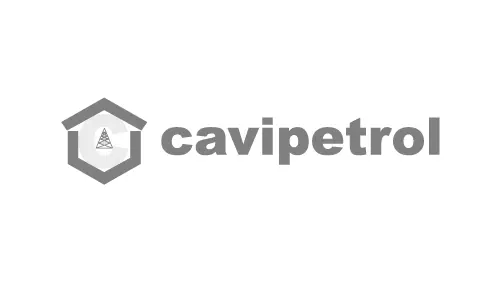 Cavipetrol gris